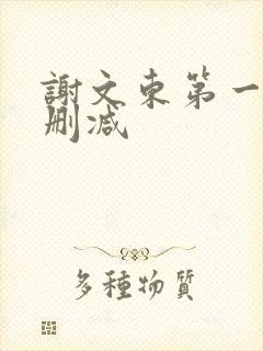 谢文东第一季无删减