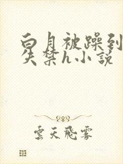 白月被躁到高潮失禁h小说