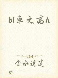 bl车文高h封面
