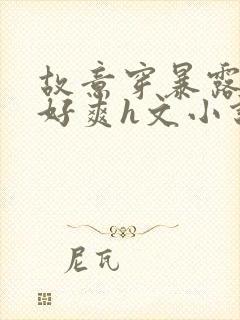 故意穿暴露被强好爽h文小说