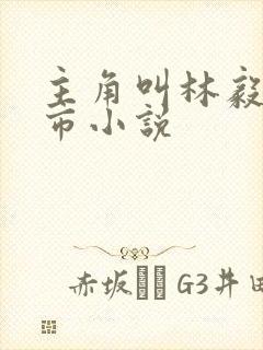 主角叫林毅的都市小说