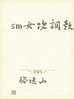 sm女攻调教文