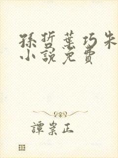 孙哲叶巧朱颜的小说免费封面