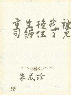 重生后我被前上司缠住了免费阅读封面