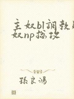 主奴bl调教贱奴np总攻封面