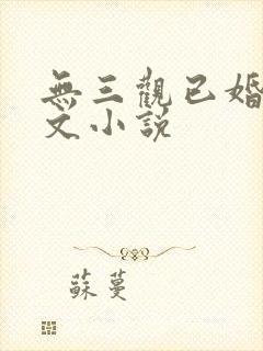 无三观已婚出轨文小说封面