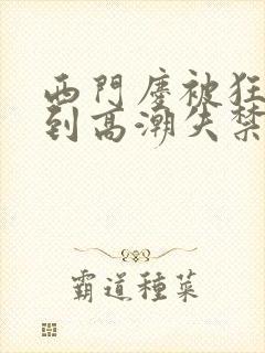 西门庆被狂c躁到高潮失禁小说