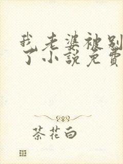 我老婆被别人操了小说免费阅读全文