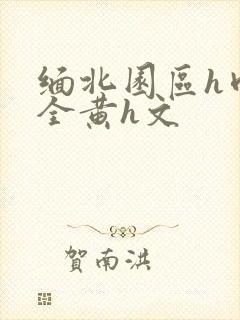 缅北园区h肉欲全黄h文