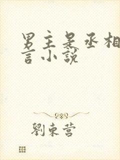 男主是丞相的古言小说