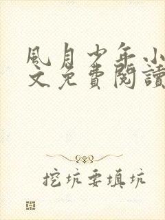 风月少年小说全文免费阅读最新章节