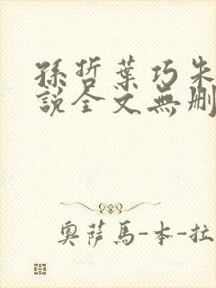 孙哲叶巧朱颜小说全文无删减免费阅读