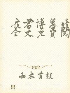 夜君博慕晴小说全文免费阅读封面