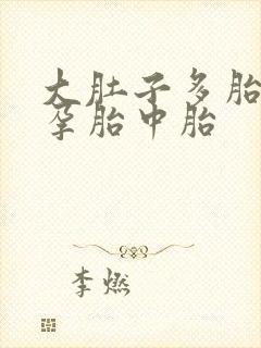 大肚子多胎孕中孕胎中胎