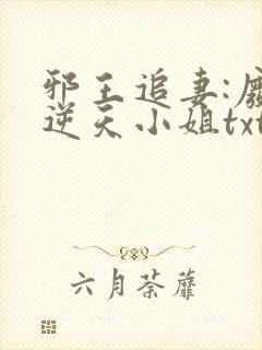 邪王追妻:废材逆天小姐txt