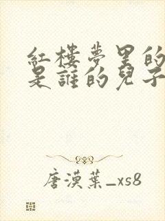 红楼梦里的贾瑞是谁的儿子