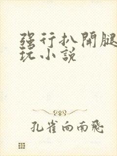 强行扒开腿狂揉玩小说