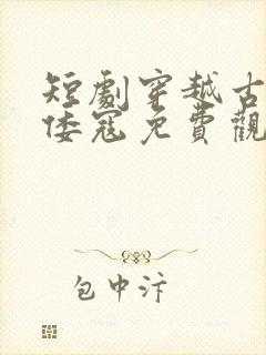 短剧穿越古代干倭寇免费观看封面