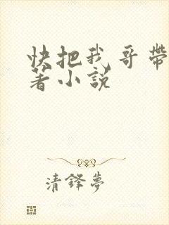 快把我哥带走原著小说封面
