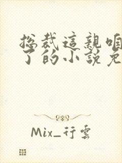 总裁这亲咱别相了的小说免费阅读封面