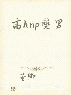 高hnp双男