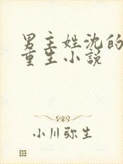 男主姓沈的所有重生小说