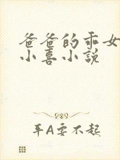 爸爸的乖女儿林小喜小说封面