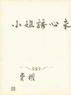 小姐诱心未删减封面