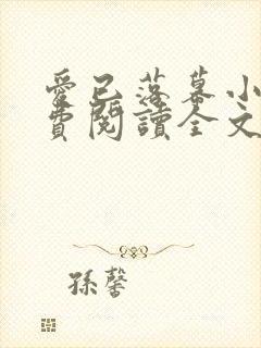 爱已落幕小说免费阅读全文