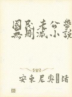 国民老公带回家无删减小说