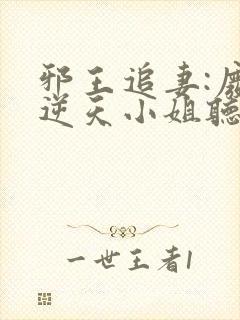 邪王追妻:废材逆天小姐听书