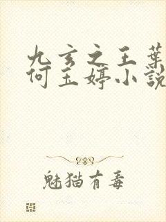 九玄之王叶浮生何玉婷小说免费阅读的封面