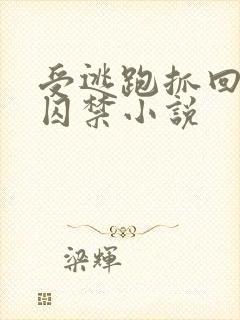 受逃跑抓回惩罚囚禁小说