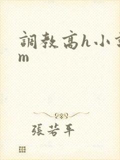 调教高h小说sm