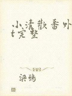 小清欢番外txt完整封面