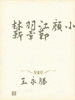 林羽江颜小说最新章节