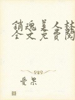 销魂美人林婷婉全文免费阅读小说