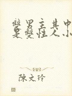 双男主其中一个是双性人小说