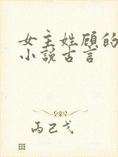 女主姓顾的重生小说古言