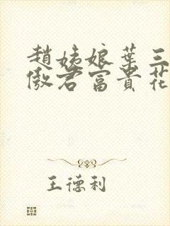 赵姨娘叶三少沈傲君富贵花