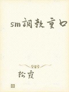 sm调教重口文