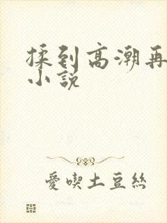 揉到高潮再c她小说