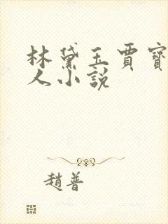 林黛玉贾宝玉同人小说