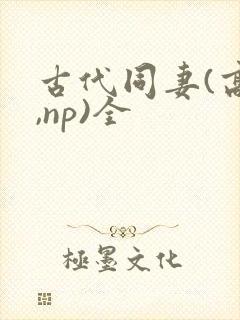 古代同妻(高h,np)全封面