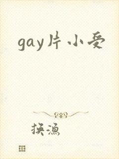 gay片小受封面