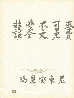 非爱不可巫哲小说全文免费阅读