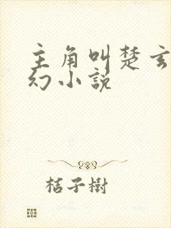 主角叫楚玄的玄幻小说