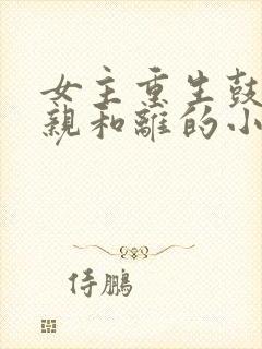 女主重生鼓励娘亲和离的小说