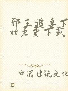 邪王追妻下载txt免费下载