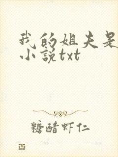 我的姐夫是太子小说txt